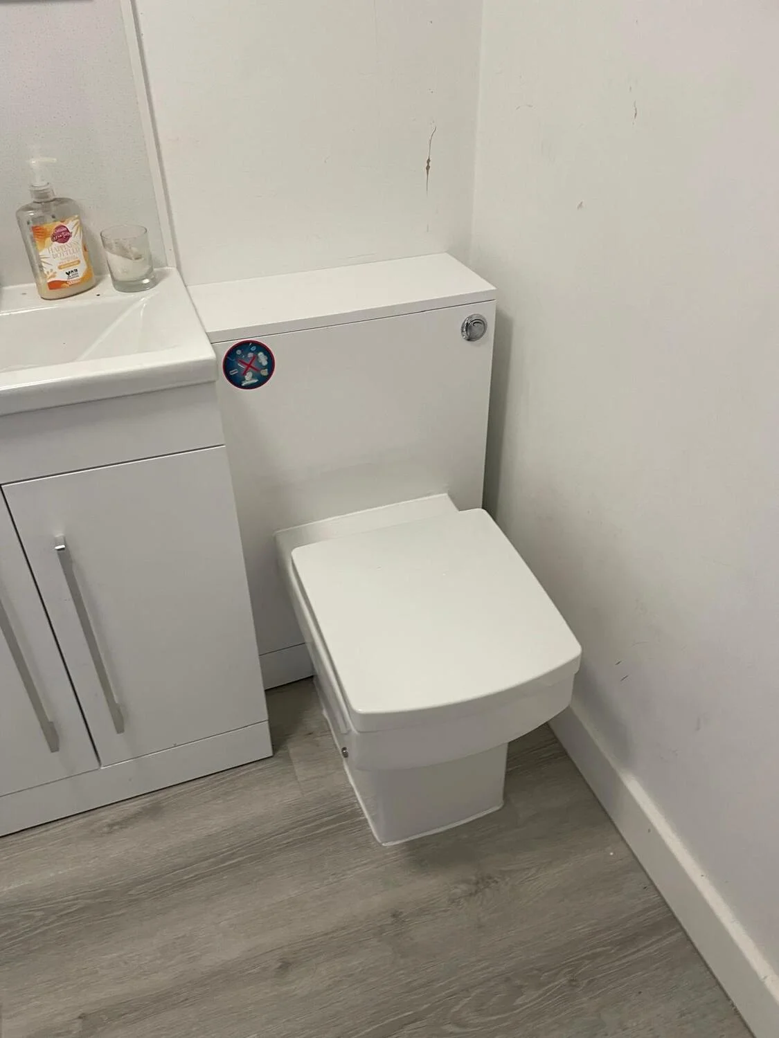MACERATOR REPLACEMENT (2)